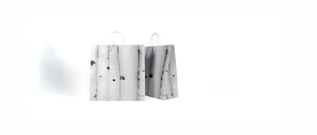 Paper bags - Embacollage - Birch