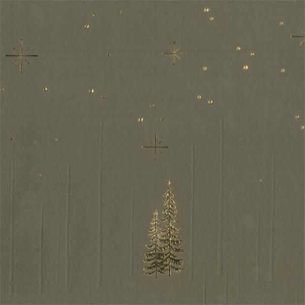 Christmas Paper 6483 Green Forrest Staar Night 55 cm