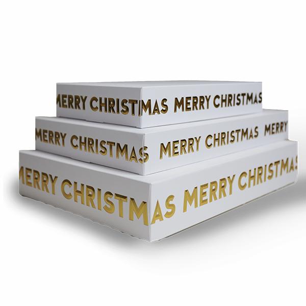 Gift Box W/Merry Christmas 24x38x5 cm
